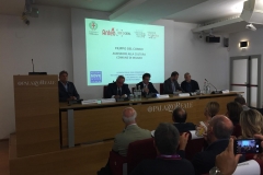 Panel " Il Ruolo delle Film Commission: tra Vocazione Territoriale e Coordinamento Nazionale, tra Impresa e Cultura. Un Patto Possibile?"